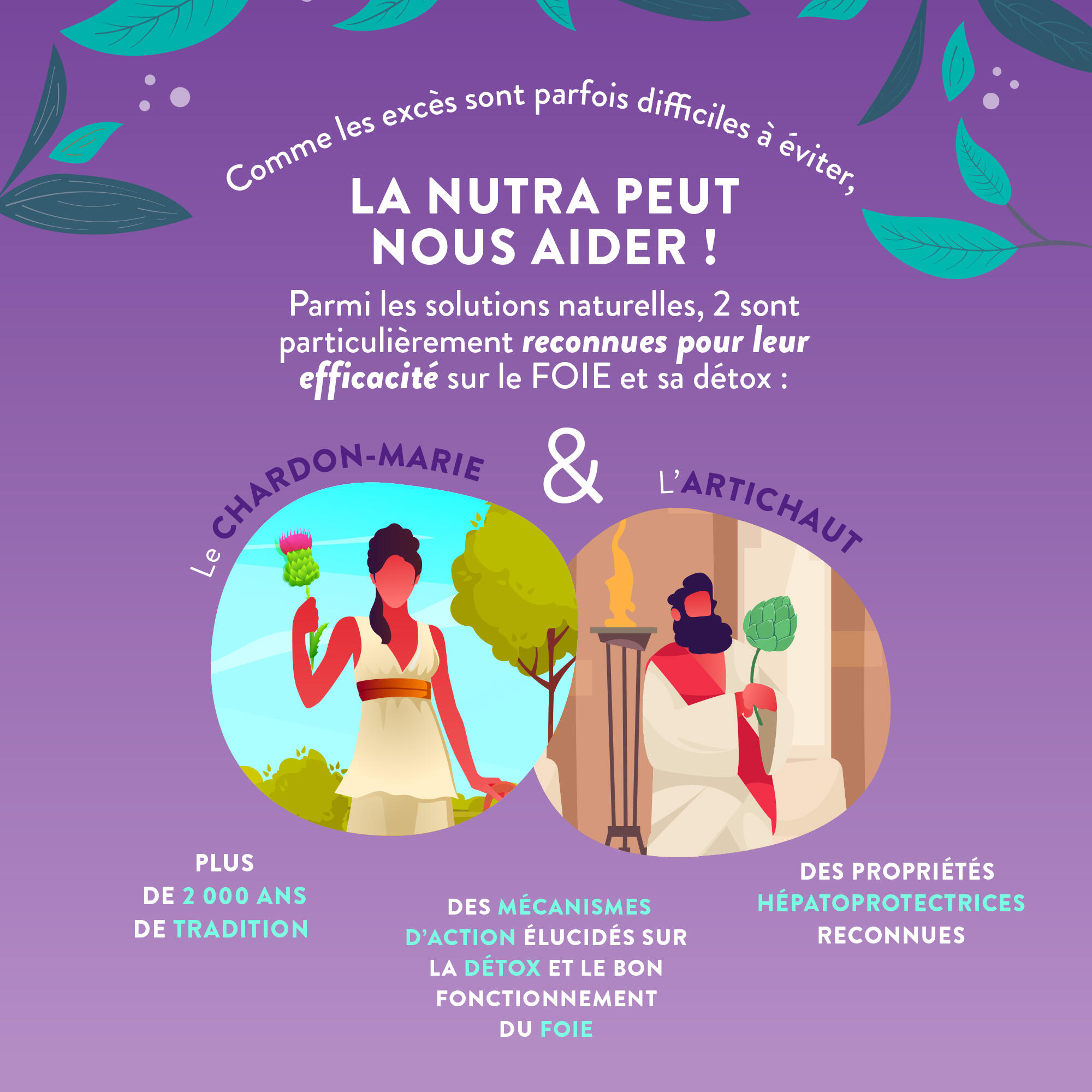 Le Détox - Chardon-marie + Artichaut - Détox Foie & Drainage - 60 gélules 4/5