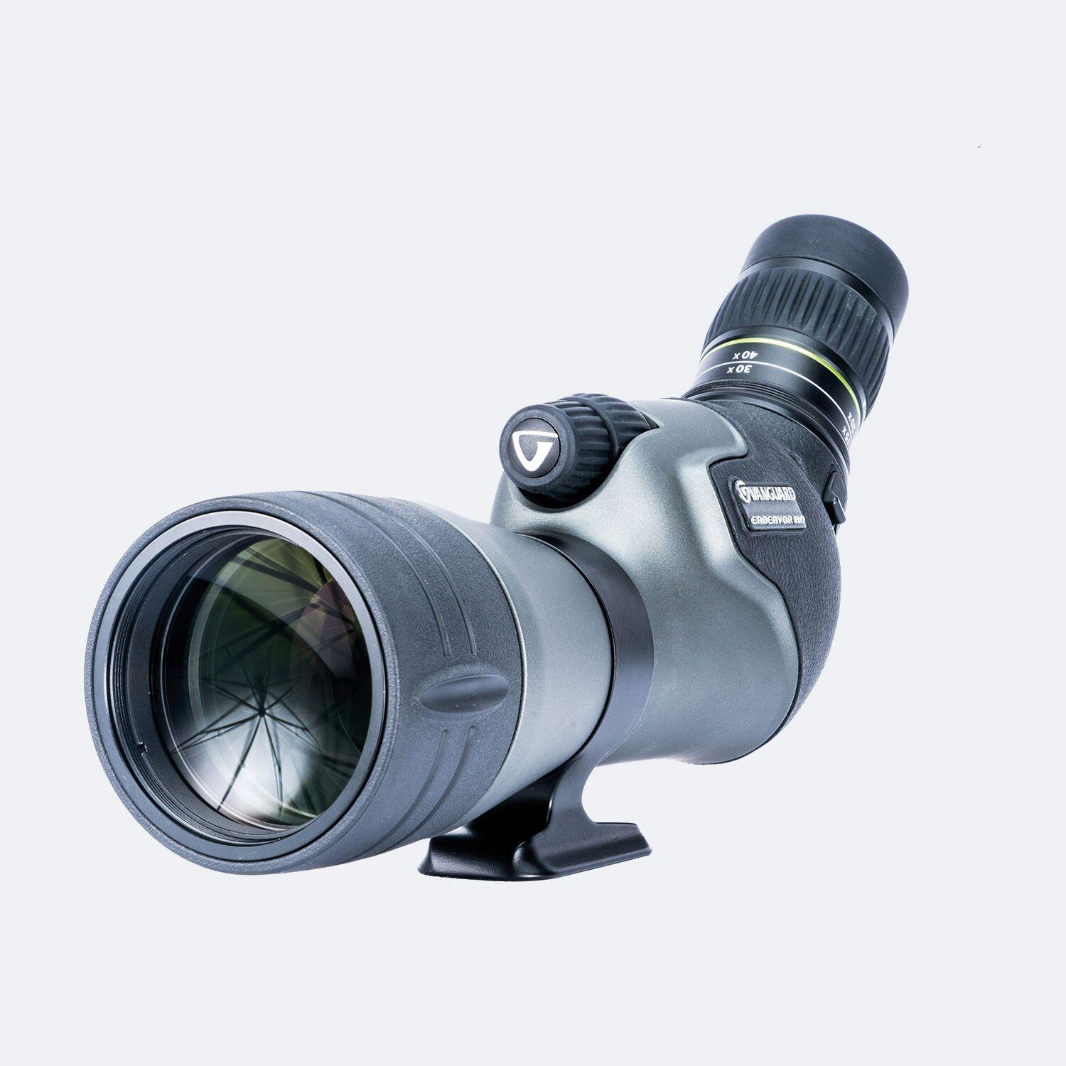 VANGUARD picture