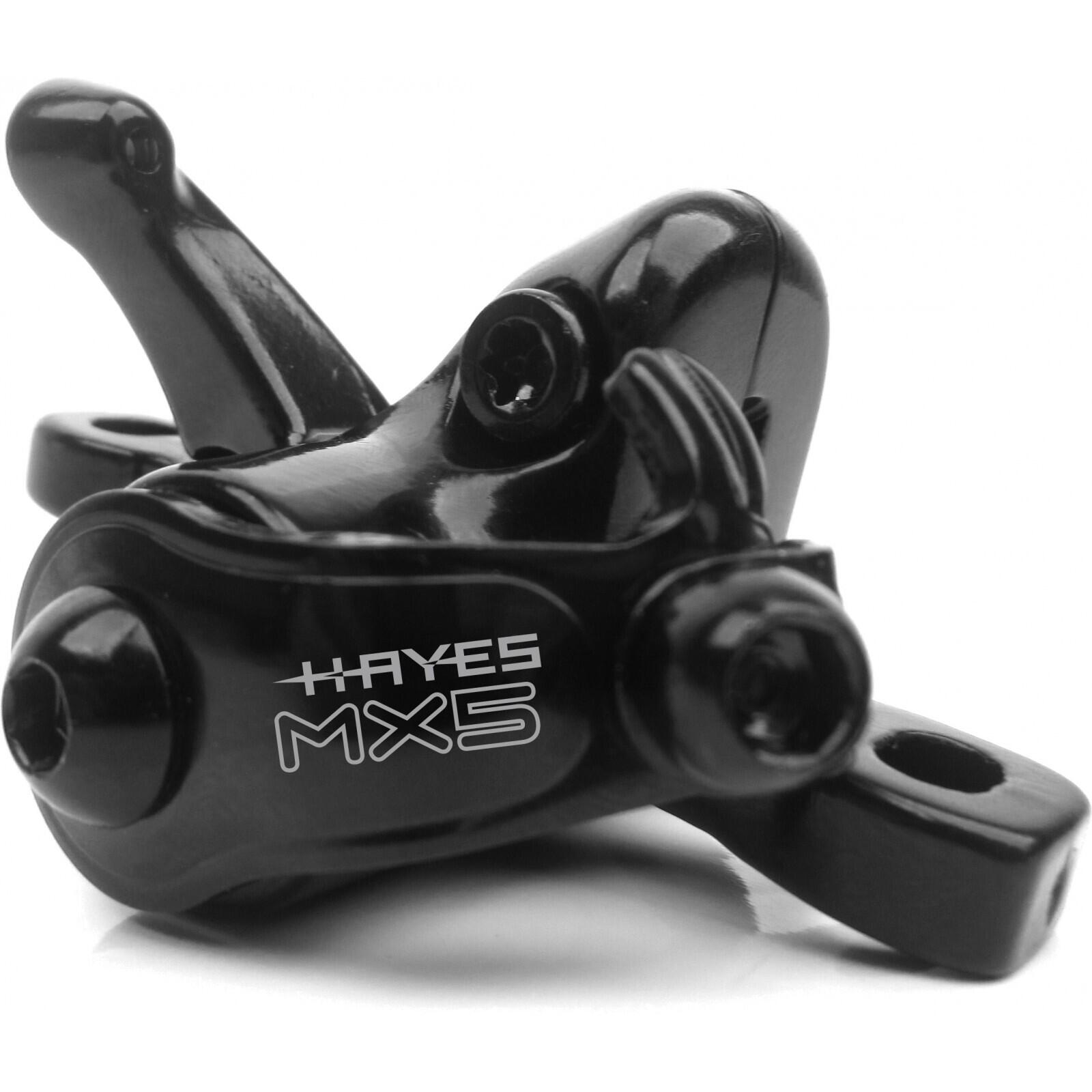HAYES picture