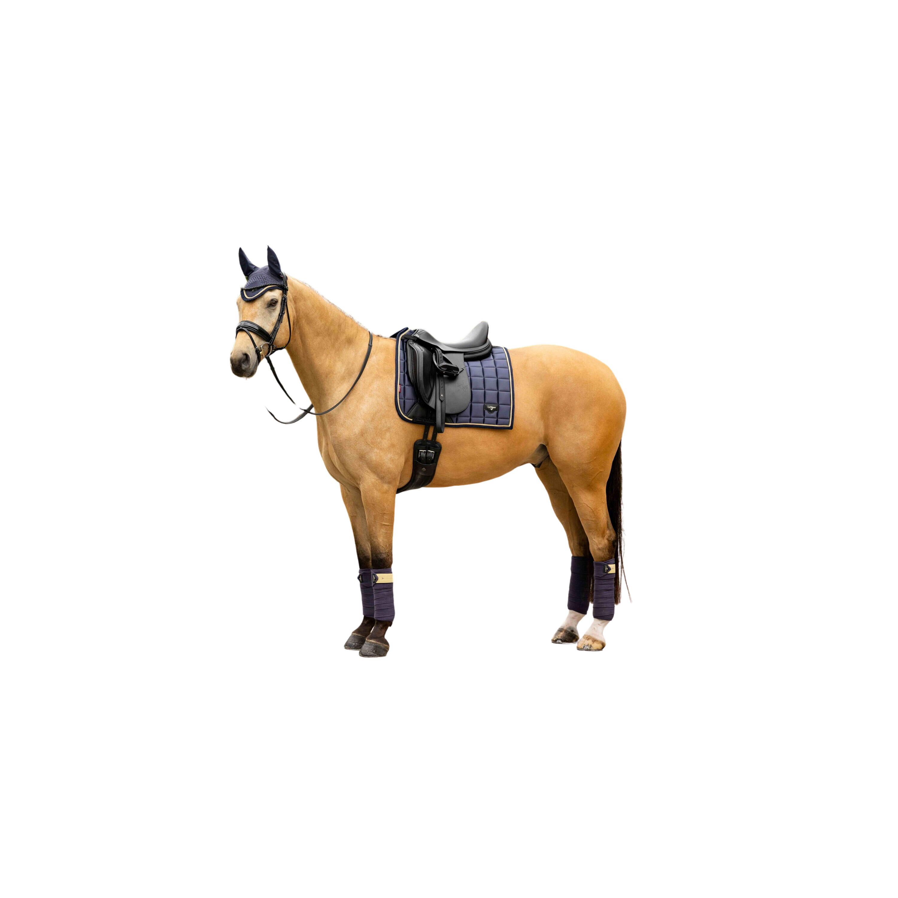 Dressuurmat voor paarden LeMieux Loire Classic 2/4