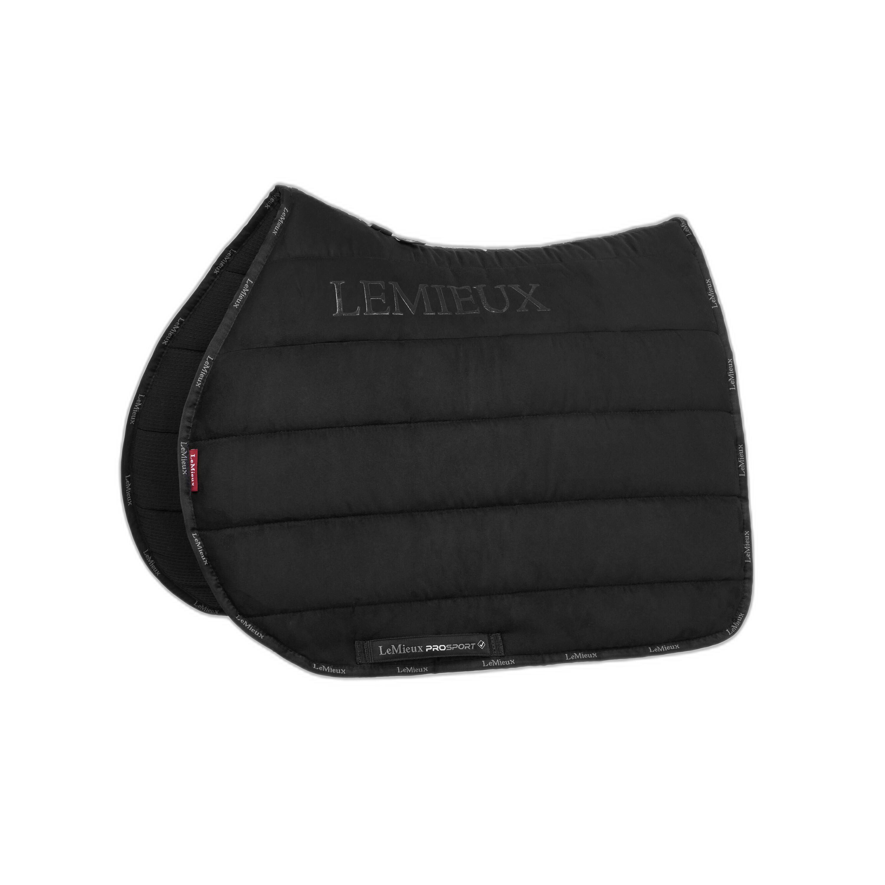 LEMIEUX picture