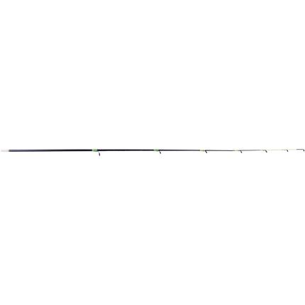 Scion buscle Ragot D3.0