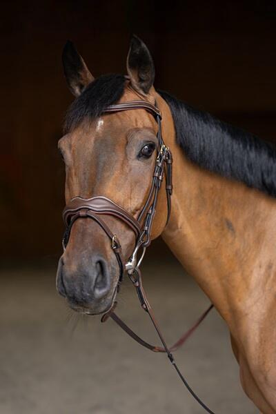 HFI Hfi Hoofdstel Wavy Bruin -