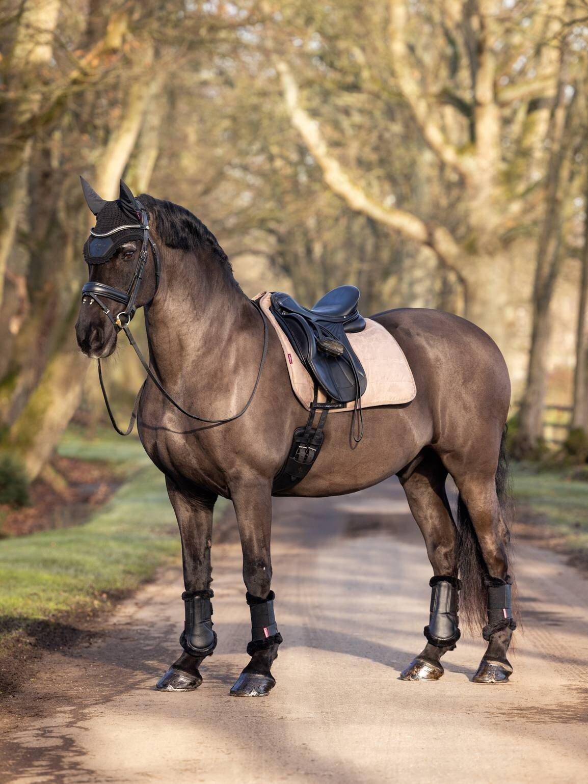 Dressuurmat voor paarden LeMieux Work 2/2