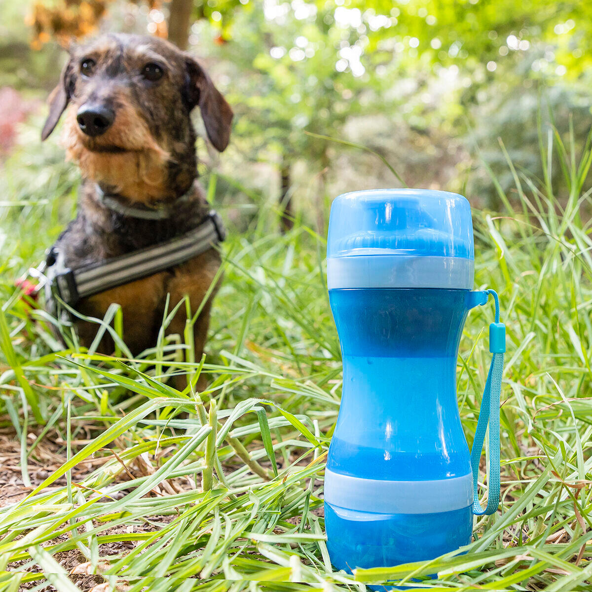 Bottiglia con Contenitore per Acqua e Cibo per Animali Domestici 2 in 1 InnovaGo 2/5