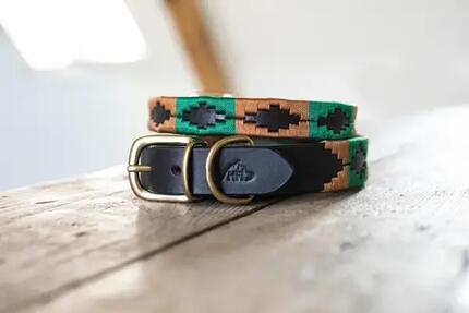 Collier pour chien HFI Polo