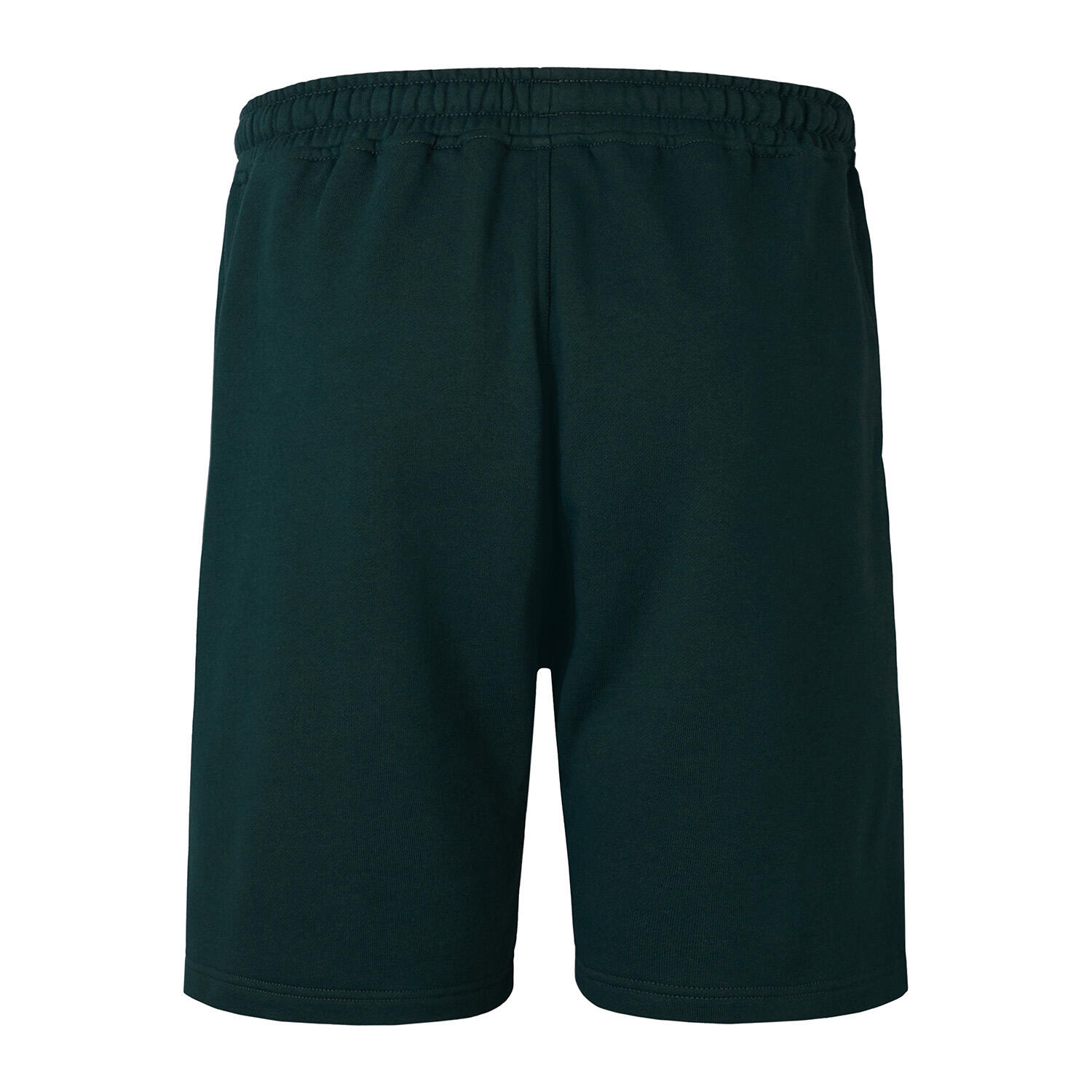 CCC British Irish Lions 2025 Mens Stealth Fleece Shorts 2/5