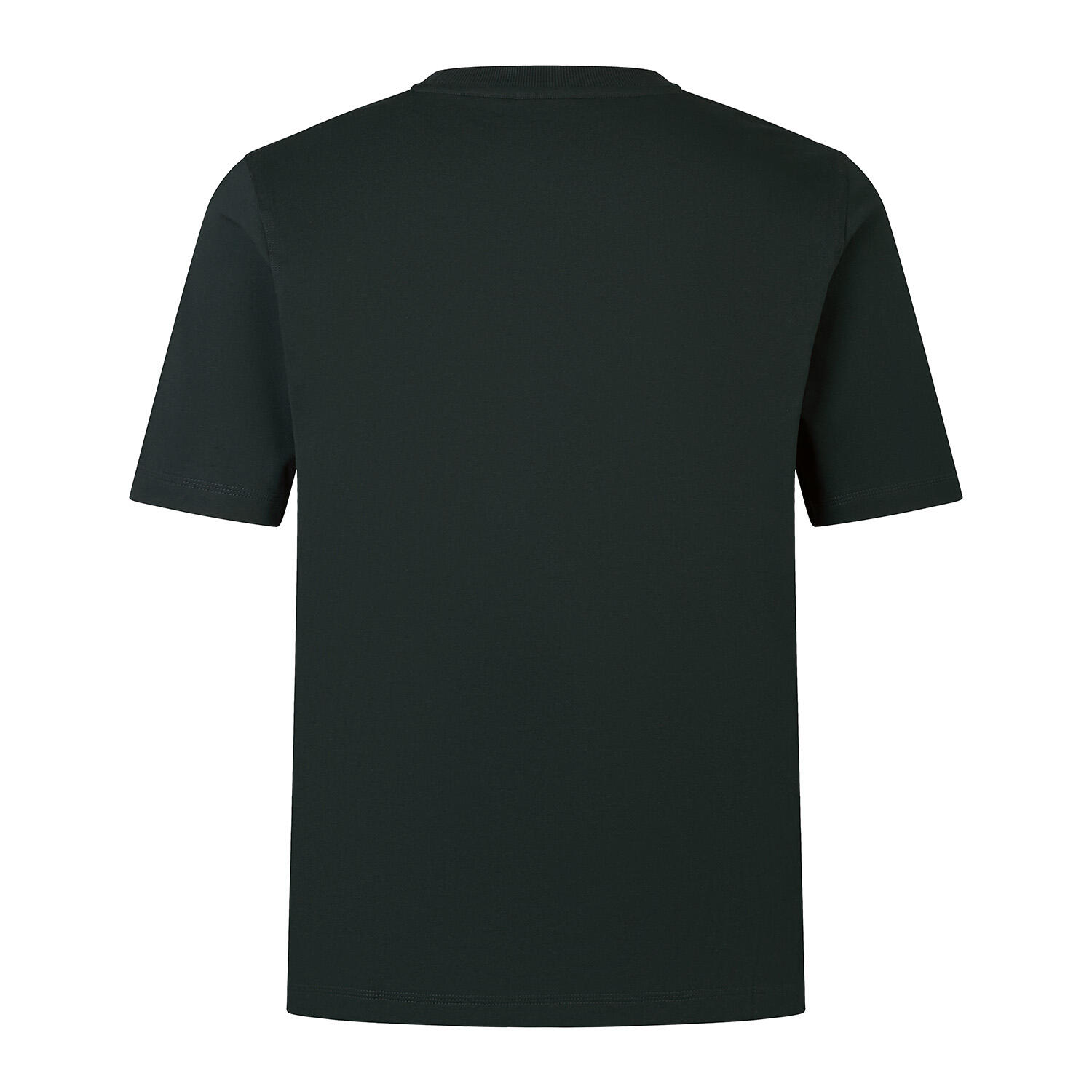 CCC British Irish Lions 2025 Mens Stealth Cotton T-Shirt 2/5