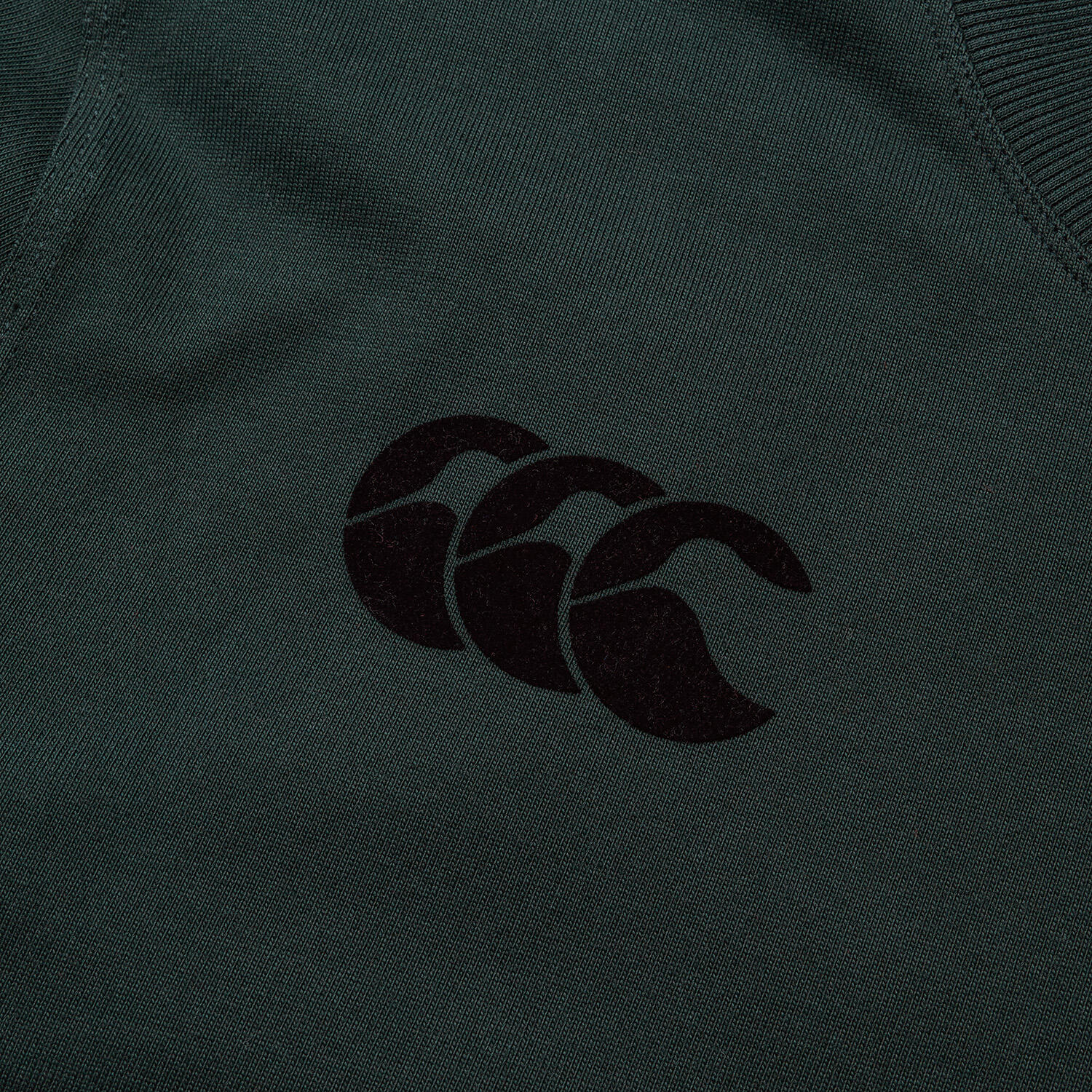 CCC British Irish Lions 2025 Mens Stealth Cotton T-Shirt 4/5