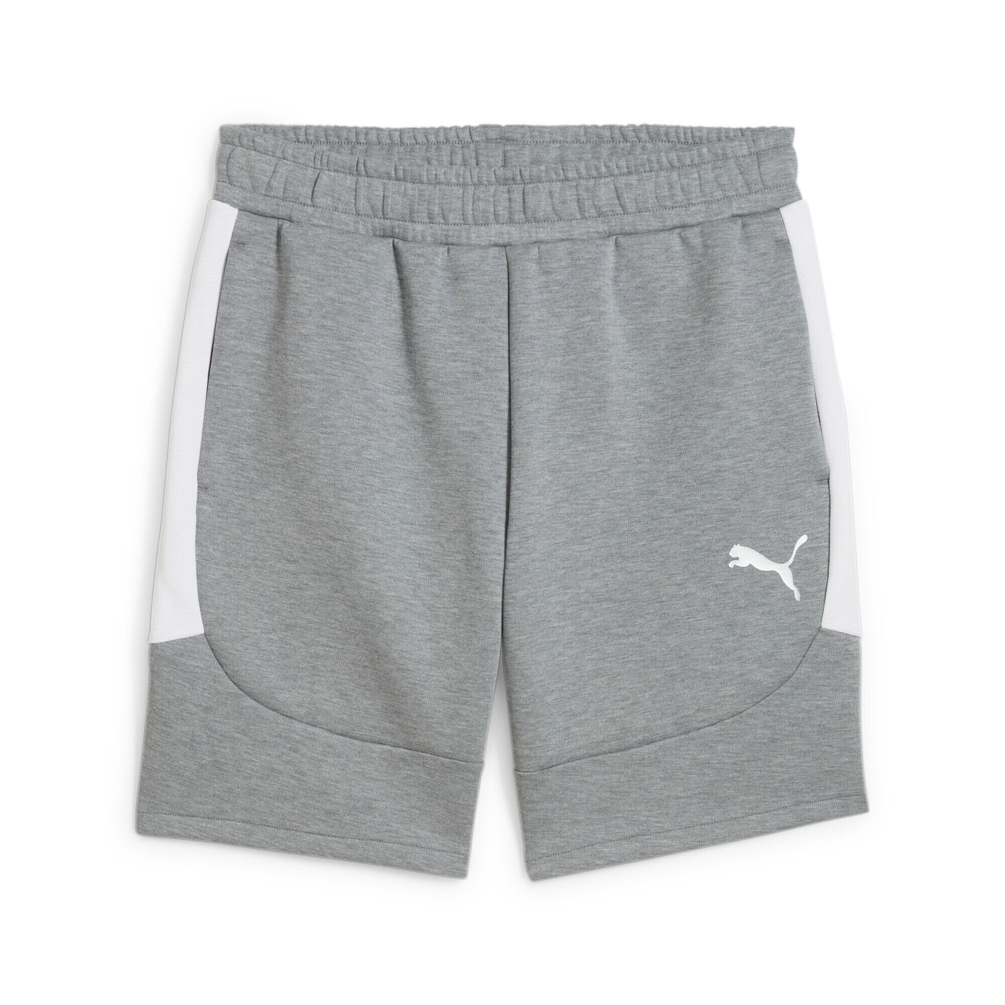 PUMA Short Puma Team Evostripe