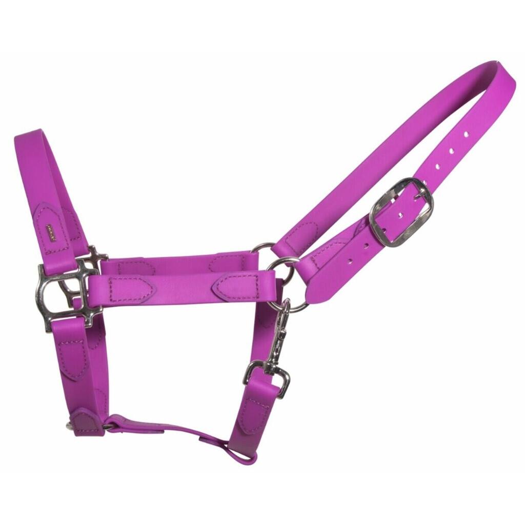 Halter for horse Karlslund