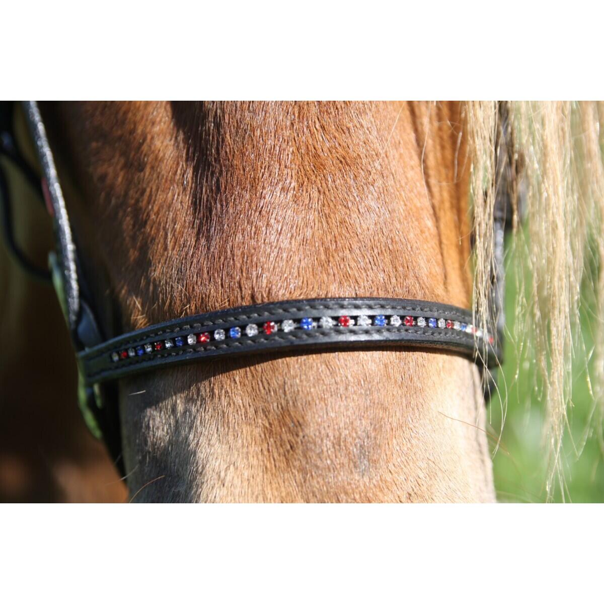 Muserolle cheval Karlslund Wave 2/3