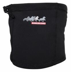 Cache cou Karlslund Frosti