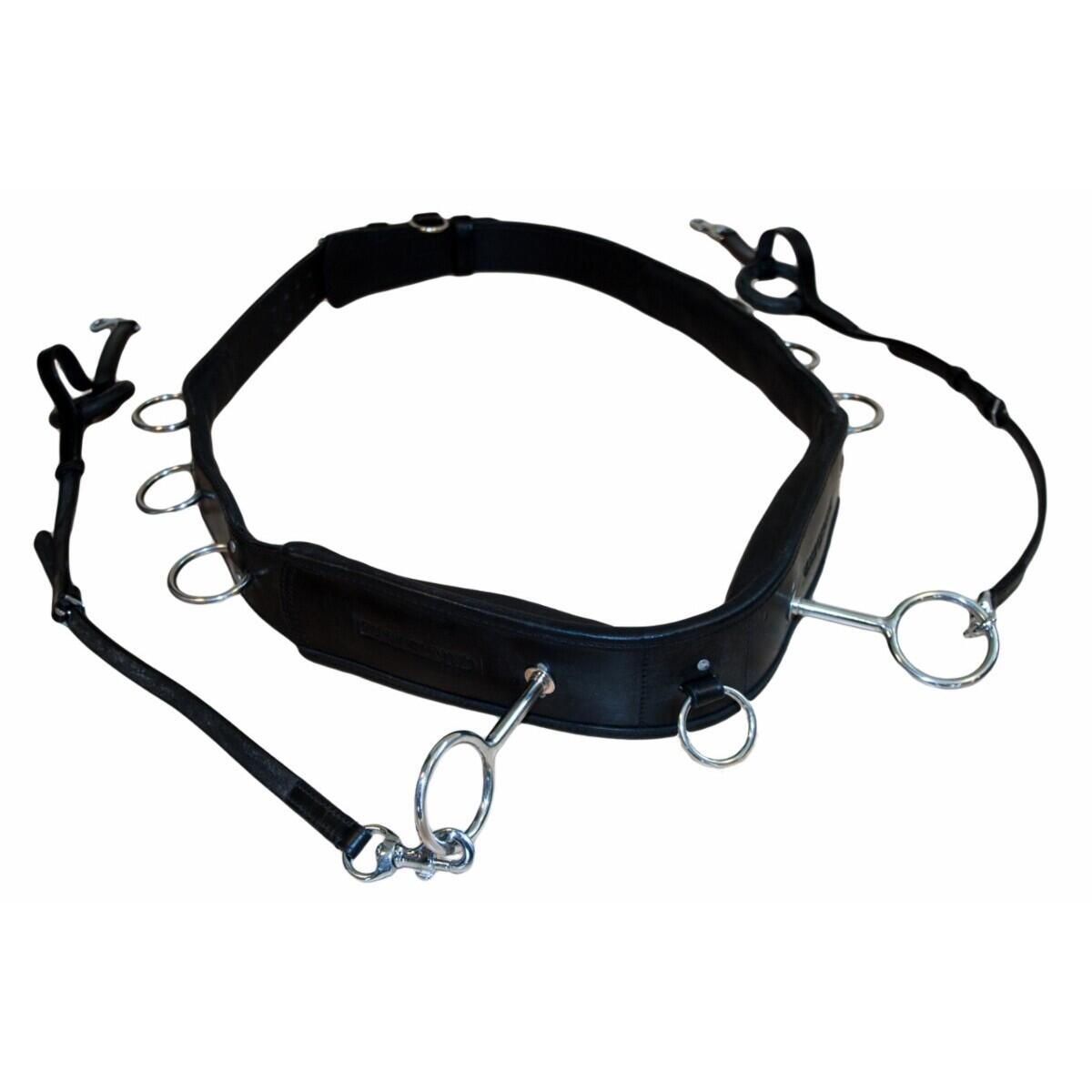 Redini lunghe per il cavallo Karlslund Lunging 1/2