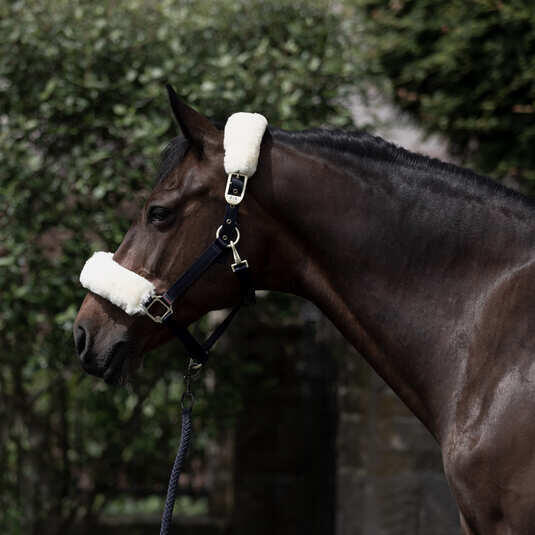 Licol pour cheval avec peau de mouton B Vertigo Laurier 2/4