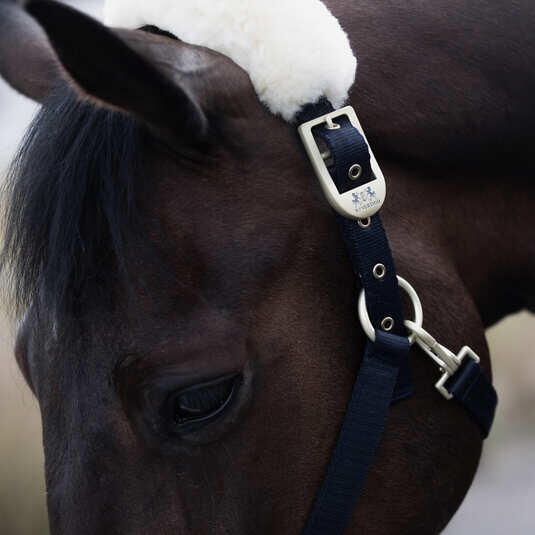 Licol pour cheval avec peau de mouton B Vertigo Laurier 4/4