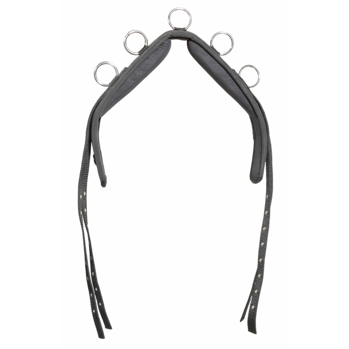 Weaver Equine Zügel Aus Geflochtenem Nylon – 2,5 Cm Breit, 2,4 M Lang, Mit Griffknoten & Vernickelten Conway-Schnallen