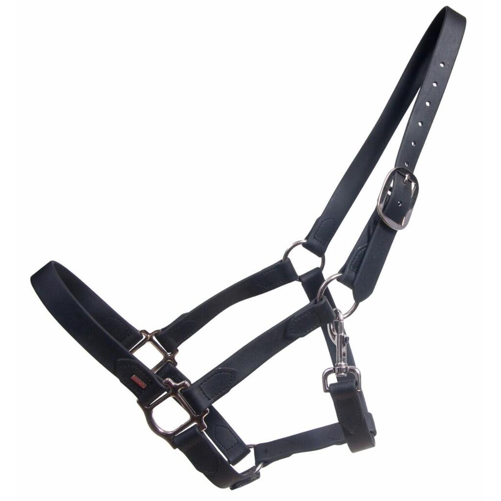Halter for horse Karlslund