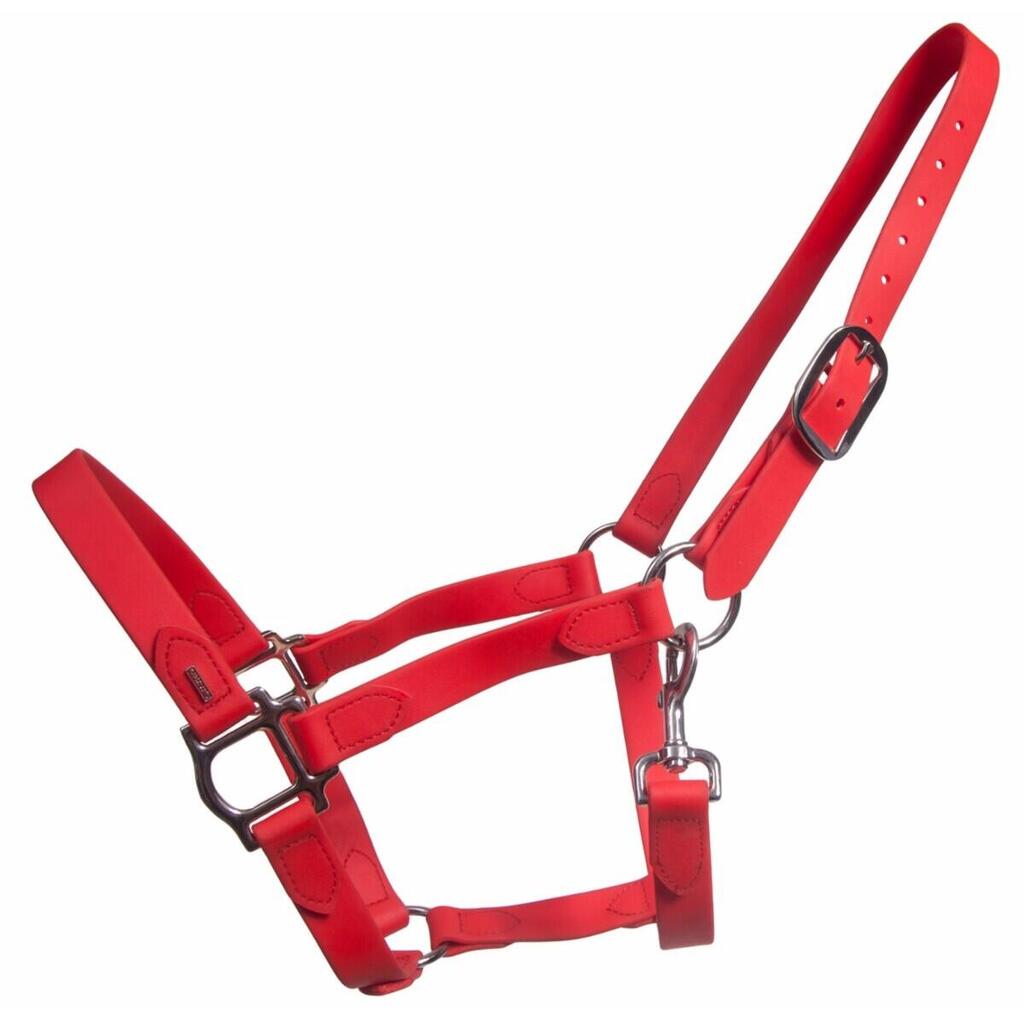 Halter for horse Karlslund