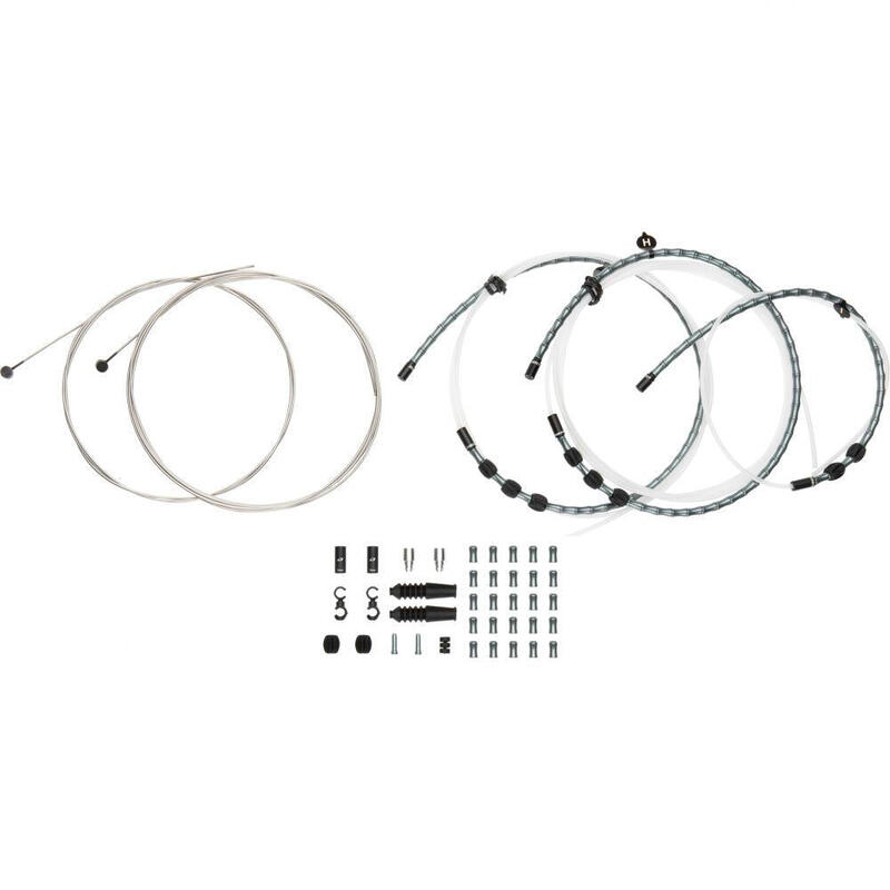 f1b4d864-a067-41f6-a729-1bd85fb45c32_novar