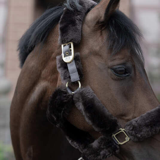 Halster voor paarden met schapenvacht B Vertigo Tremblant 4/5