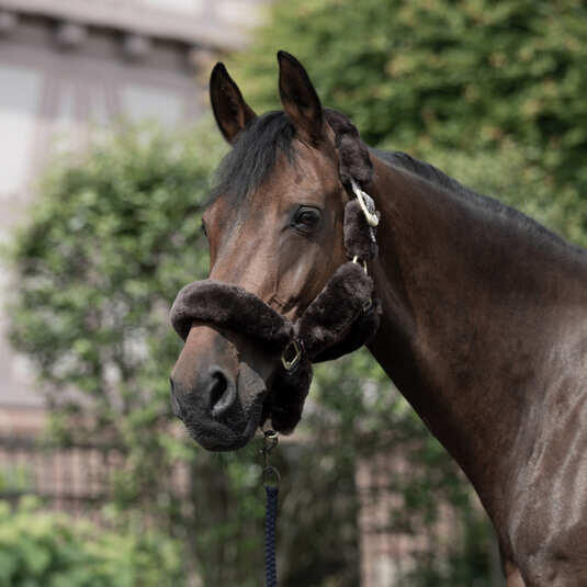 Halster voor paarden met schapenvacht B Vertigo Tremblant 2/5
