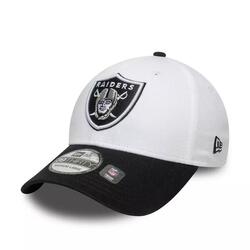 Casquette NFL Las Vegas Raiders New Era Team Logo 39Thirty