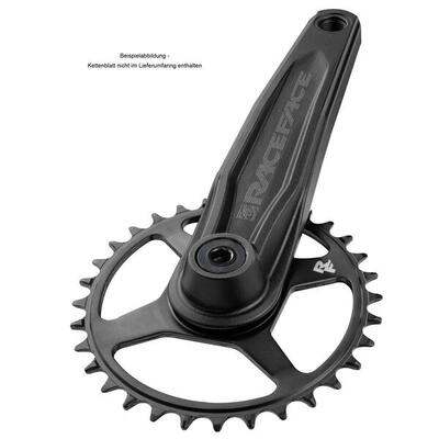 Crankset ride - 170mm zwart am19