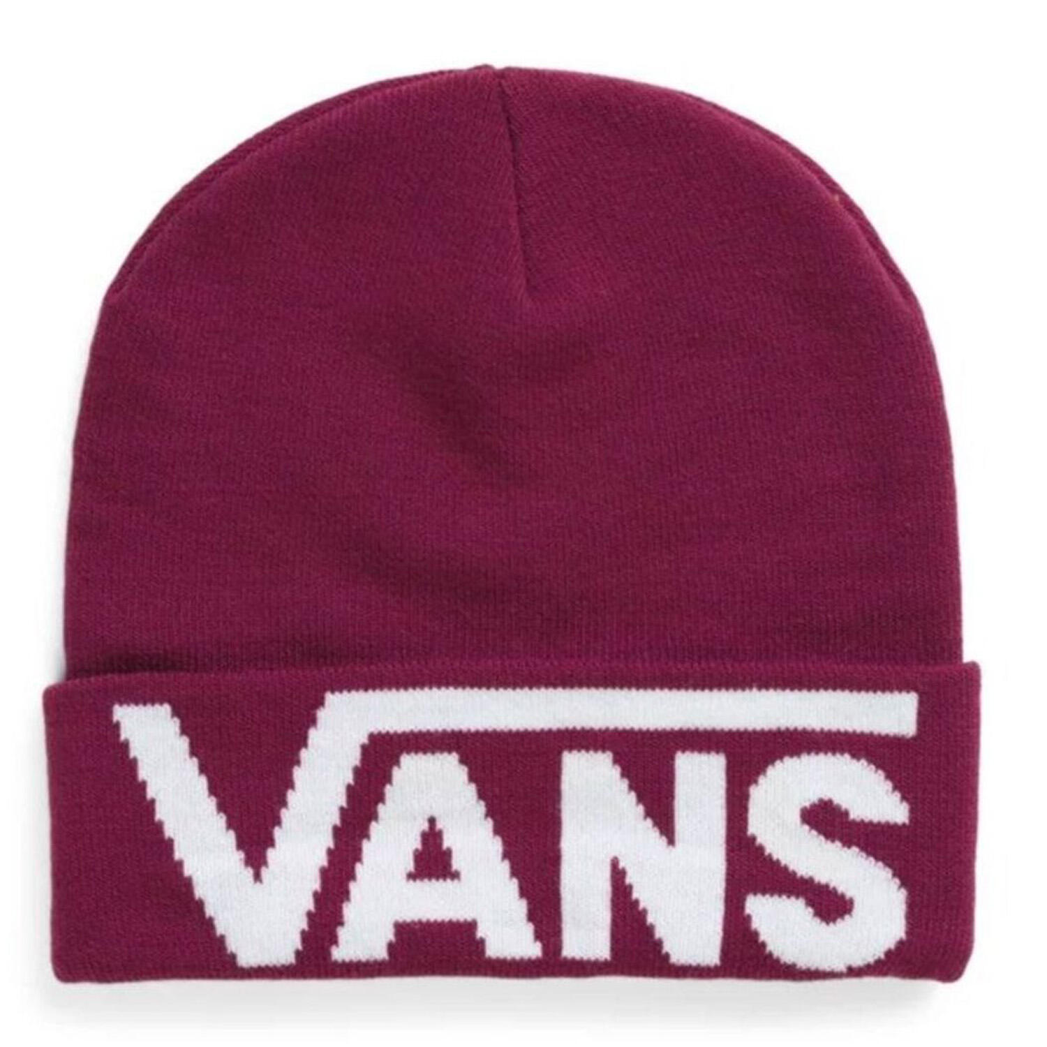 VANS picture