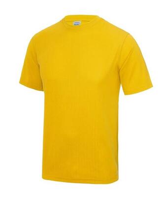T-shirt traspirante Neoteric Just Cool