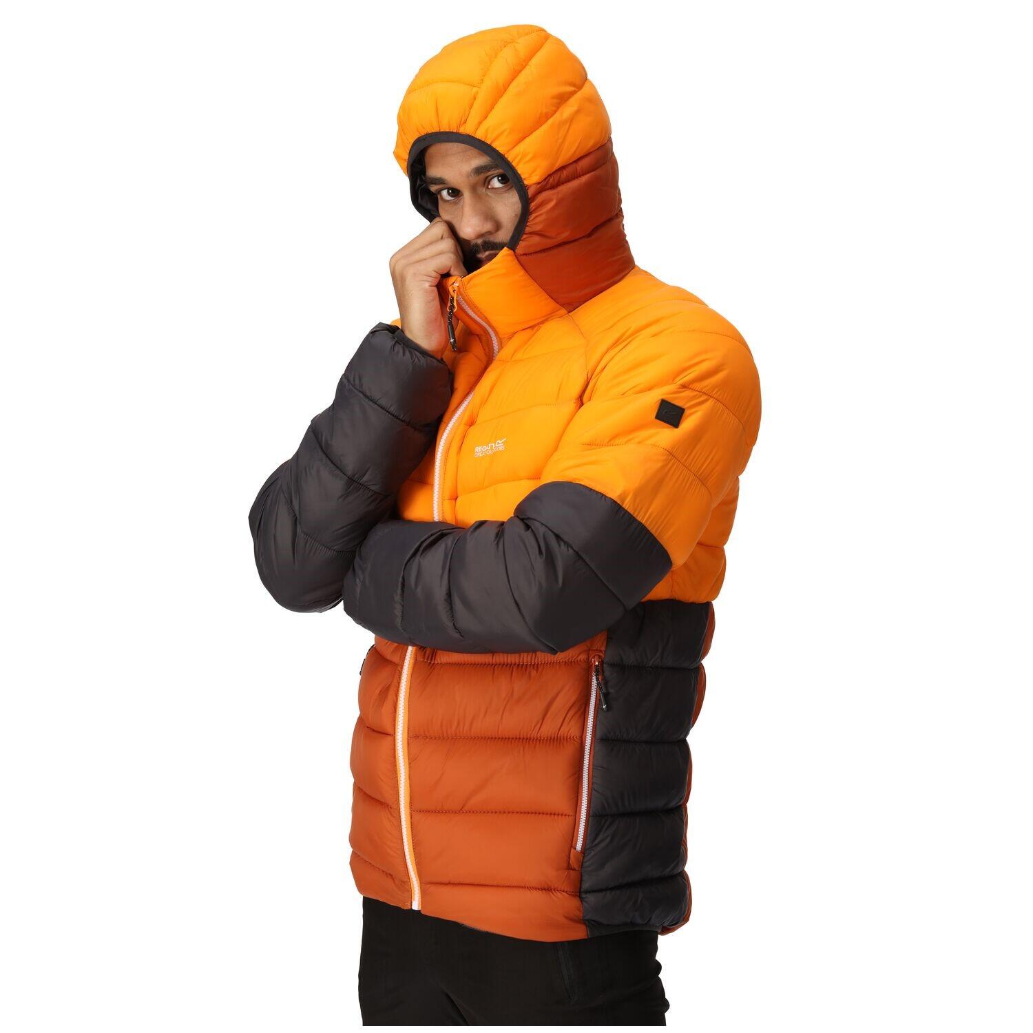 Regatta Harrock II Steppjacke / Winterjacke Herren mit Kapuze 4/7