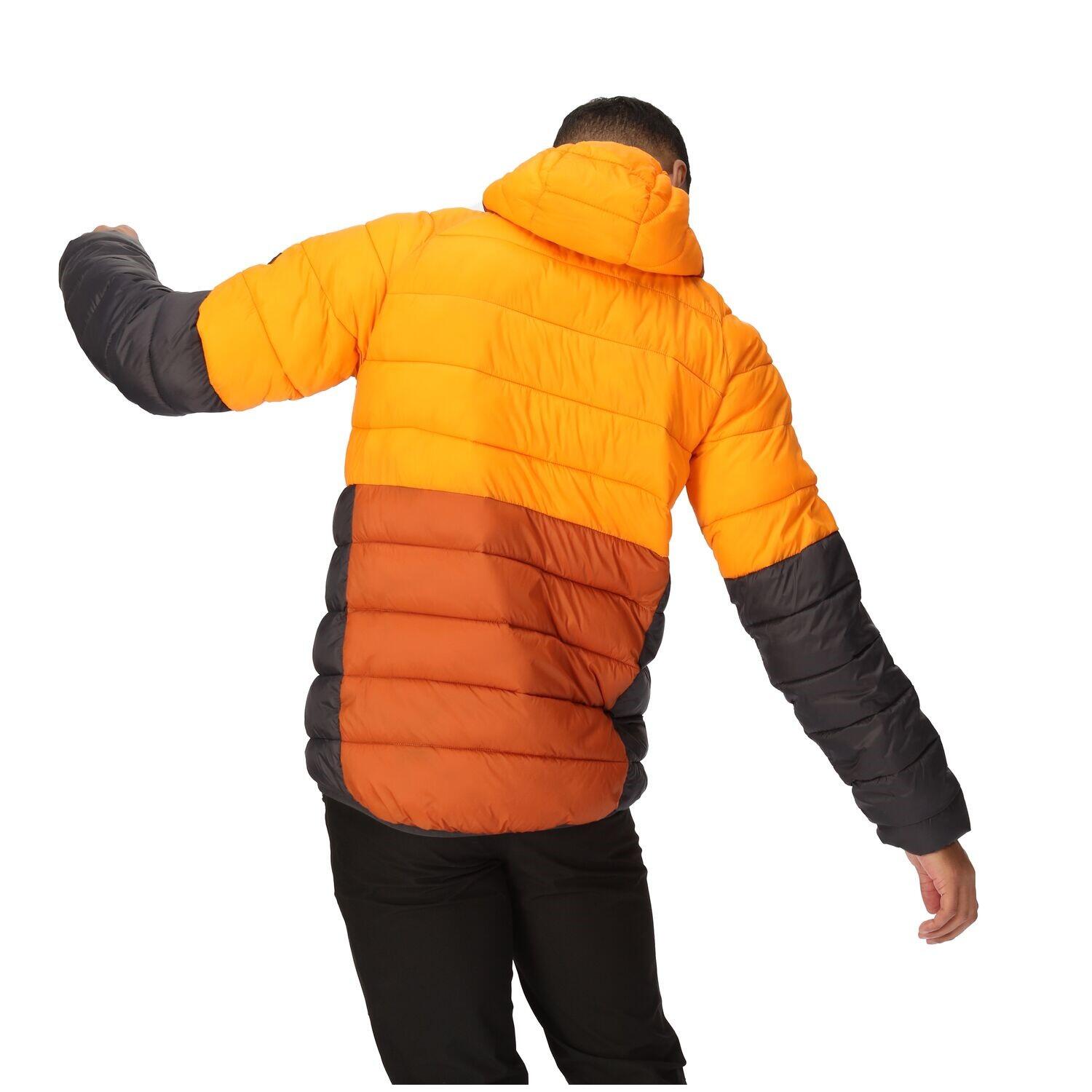 Regatta Harrock II Steppjacke / Winterjacke Herren mit Kapuze 2/7