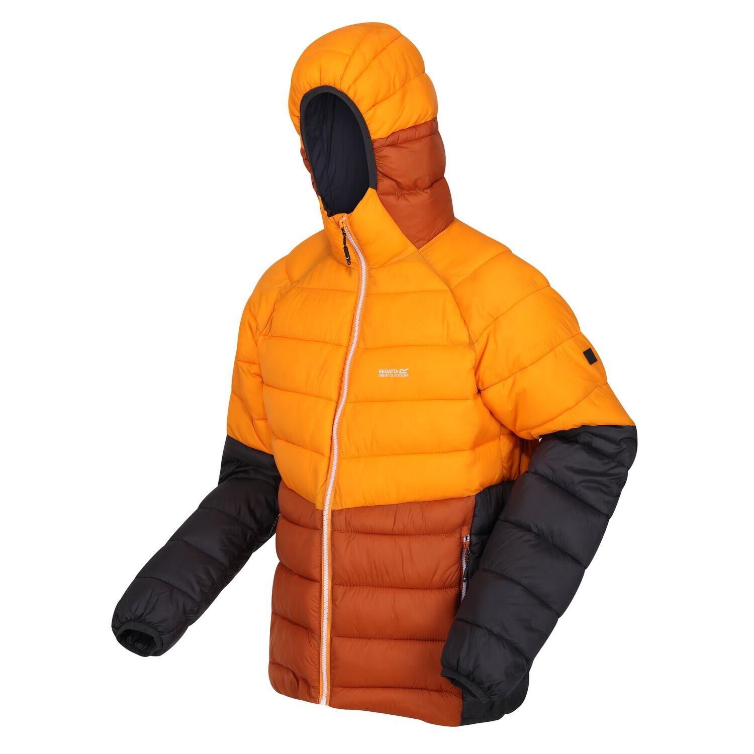 REGATTA Regatta Harrock II Steppjacke / Winterjacke Herren mit Kapuze