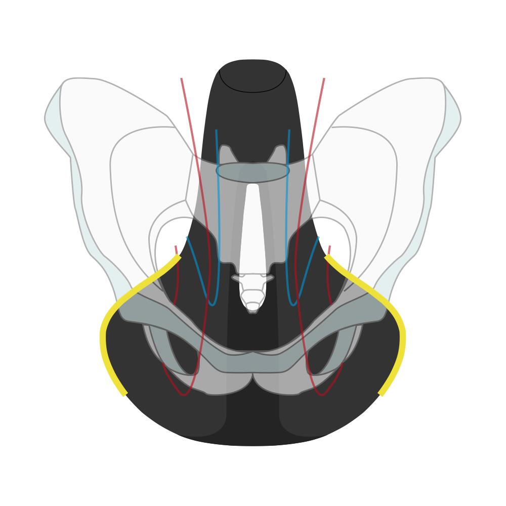 Wittkop Zadel Twin Medicus 3.0 - Comfortabel Gel voor Stadsfietsen 5/7