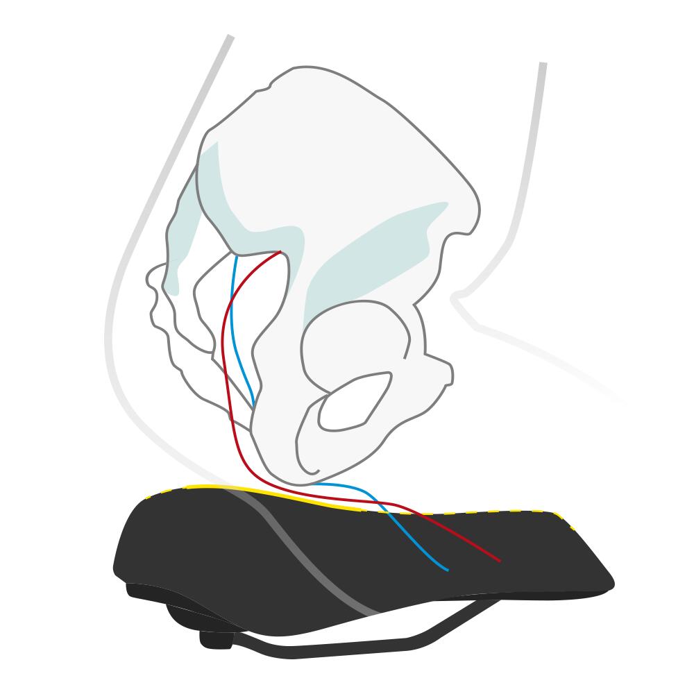 Wittkop Zadel Twin Medicus 3.0 - Comfortabel Gel voor Stadsfietsen 6/7