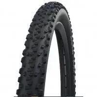 SCHWALBE picture