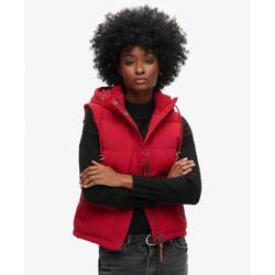 Gilet matelassé à capuche Everest de SUPERDRY