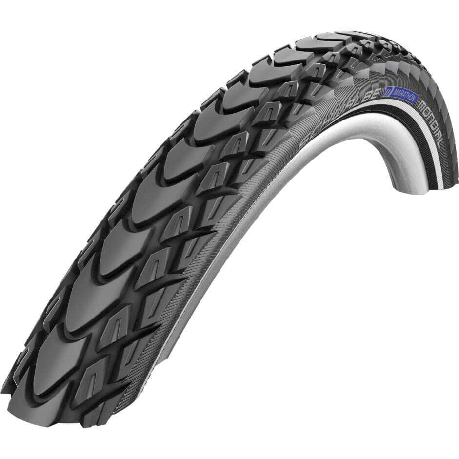 SCHWALBE picture