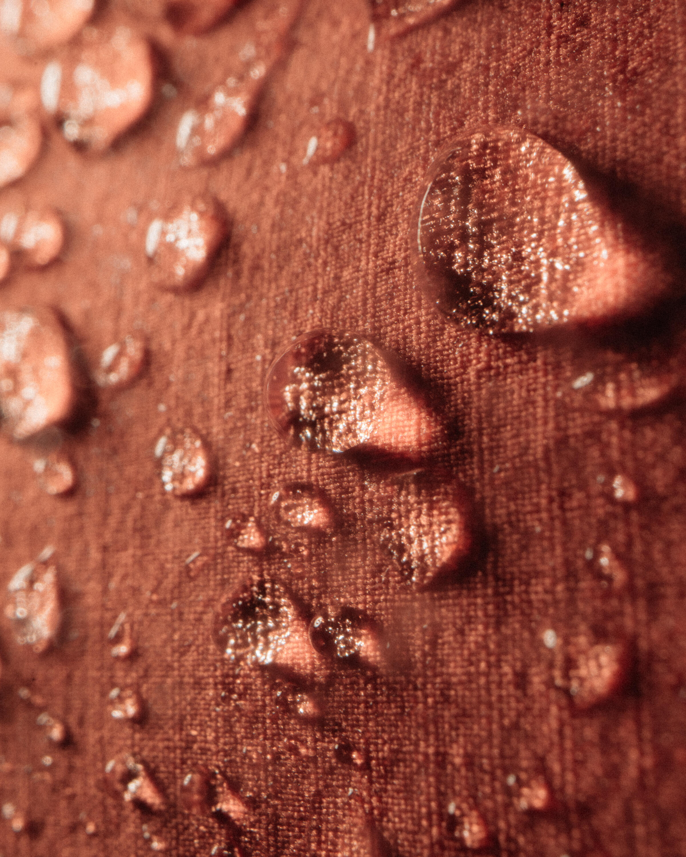 Signature Regenweste Ginger 5/6