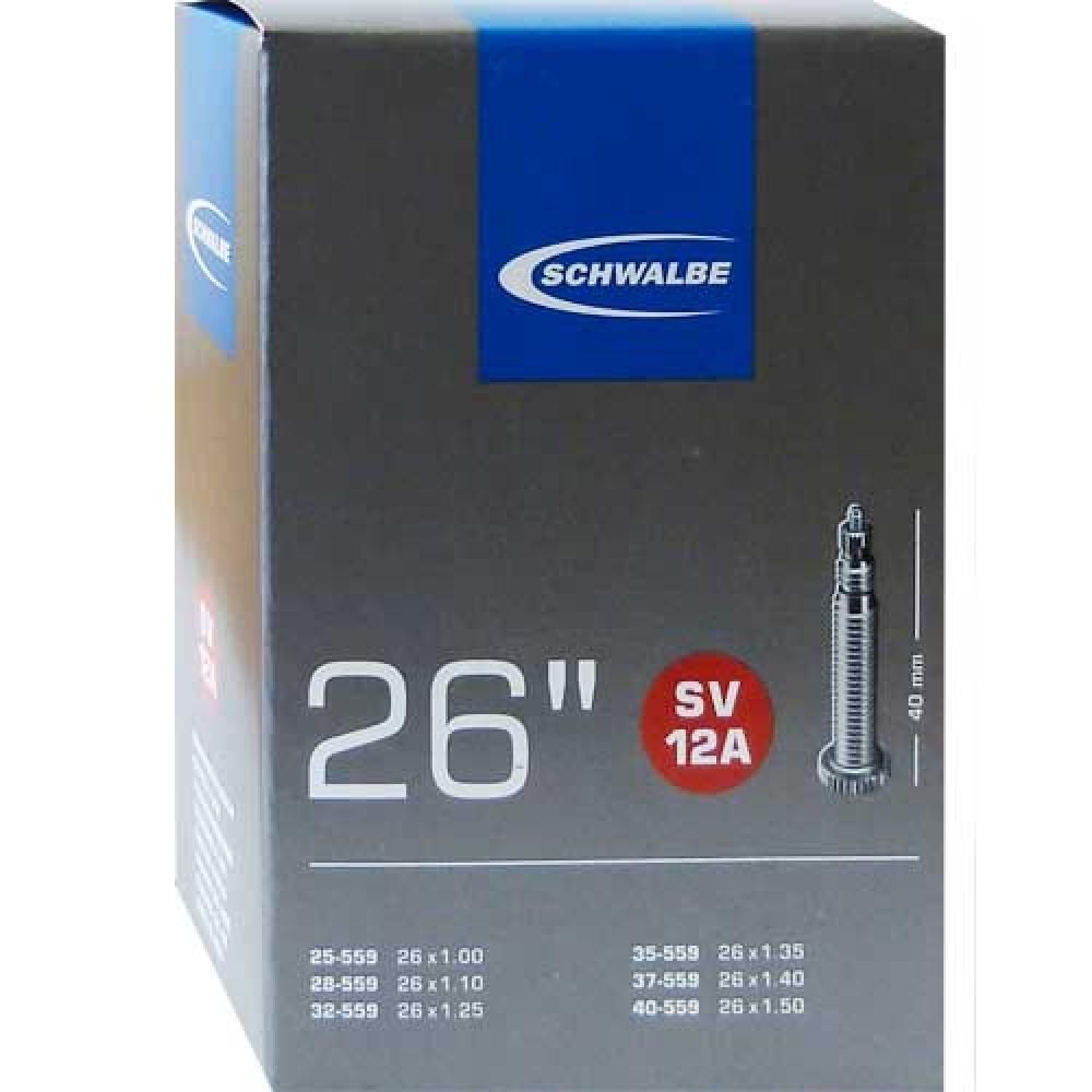 SCHWALBE picture
