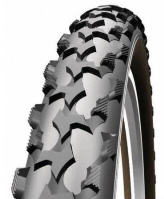SCHWALBE picture