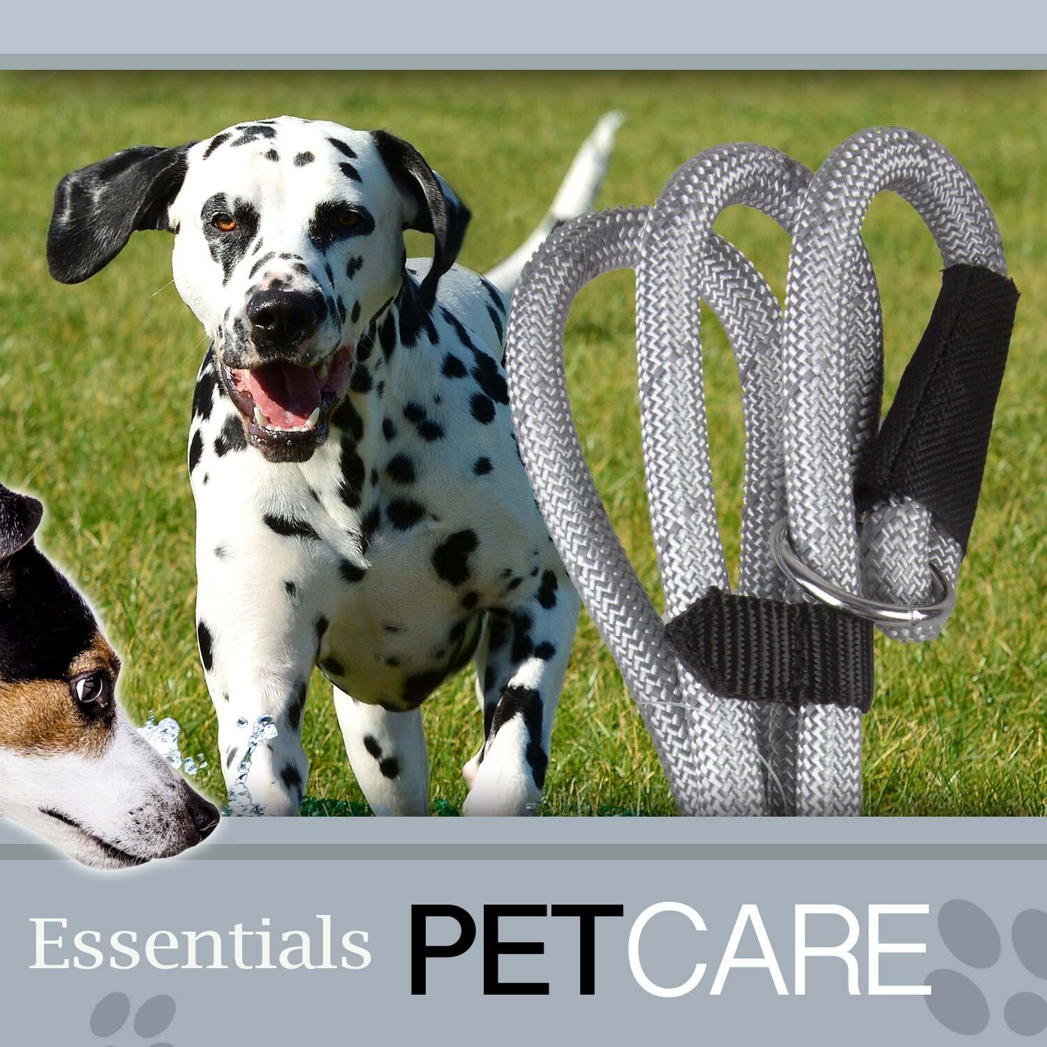 Crufts Reflective Slip Lead, 150cm, Black 3/7
