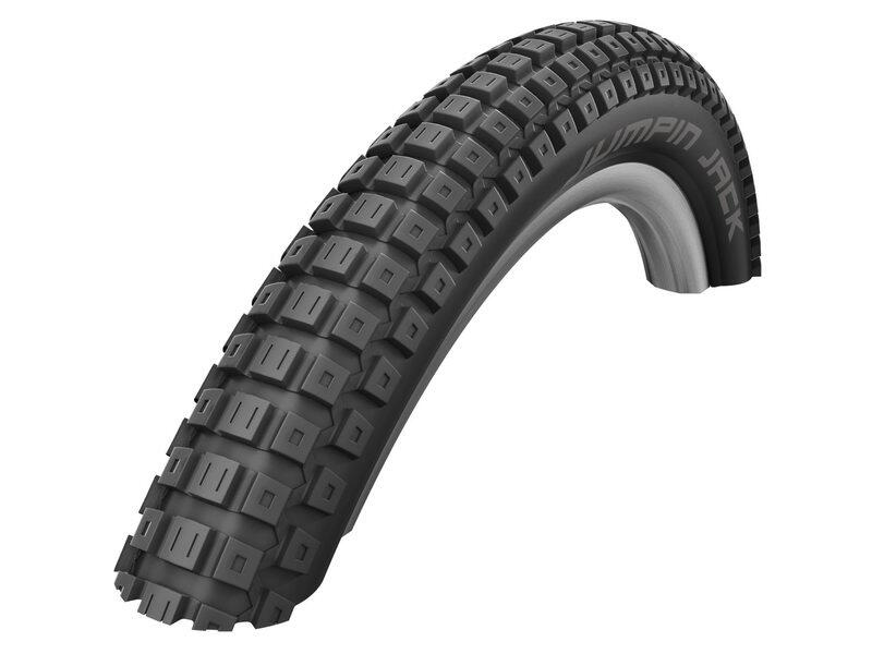 SCHWALBE picture