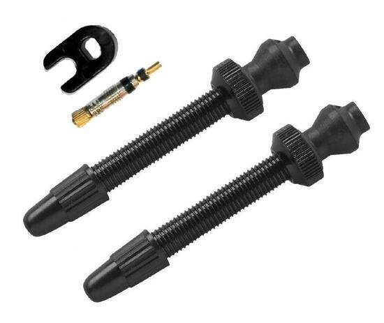 Barbieri valve tubeless Carbonaria SV 45 mm noir, lot de 2 pièces