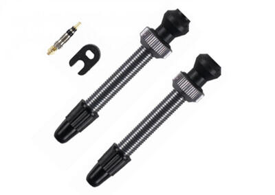 Barbieri tubelessventiel alu sv 45mm titanium ve 2 stuks