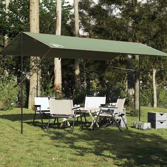 Robuste Vidaxl Auvent de Camping 500x294 cm - Étanche et Léger
