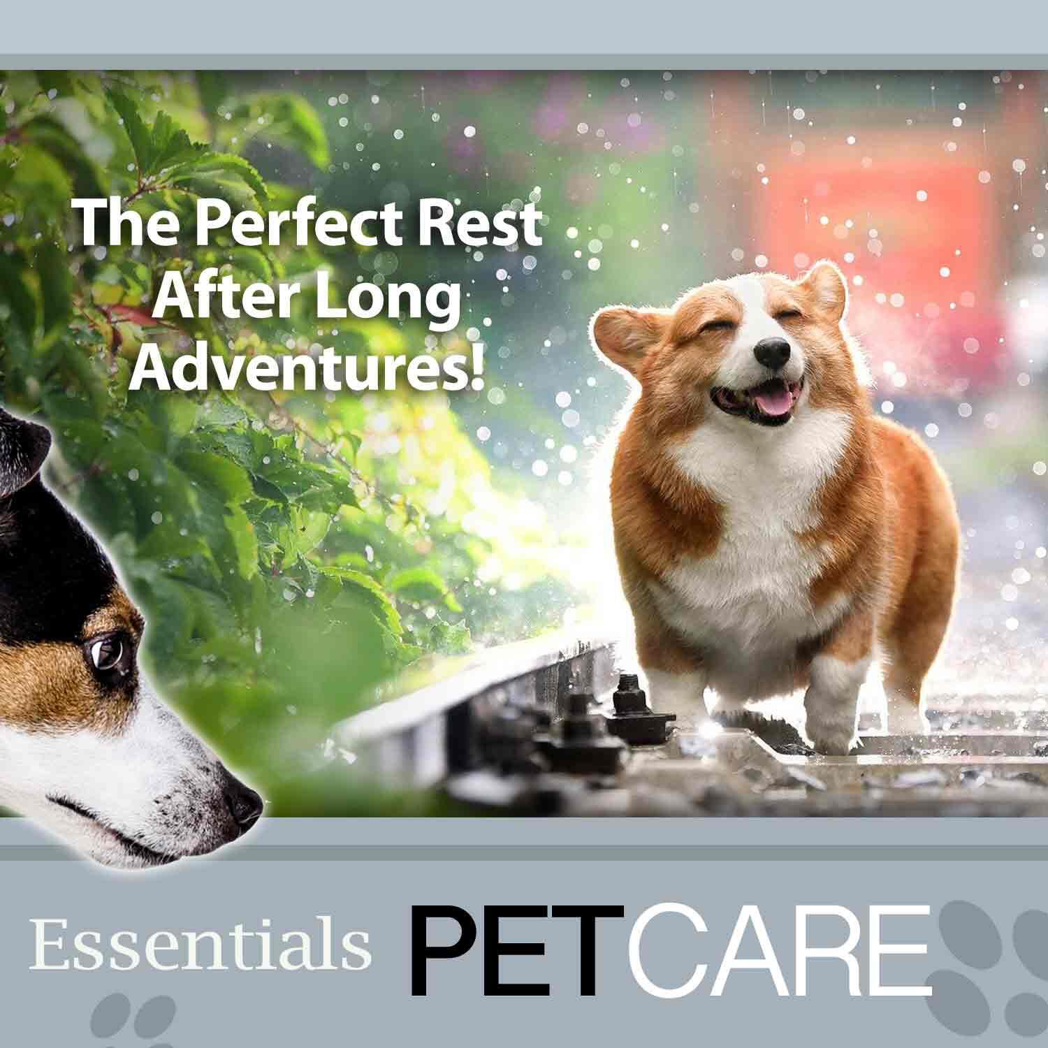 Crufts- Oxford Pet Mattress - Pet Bed - Large (Black) 91x68x10cm. 6/7