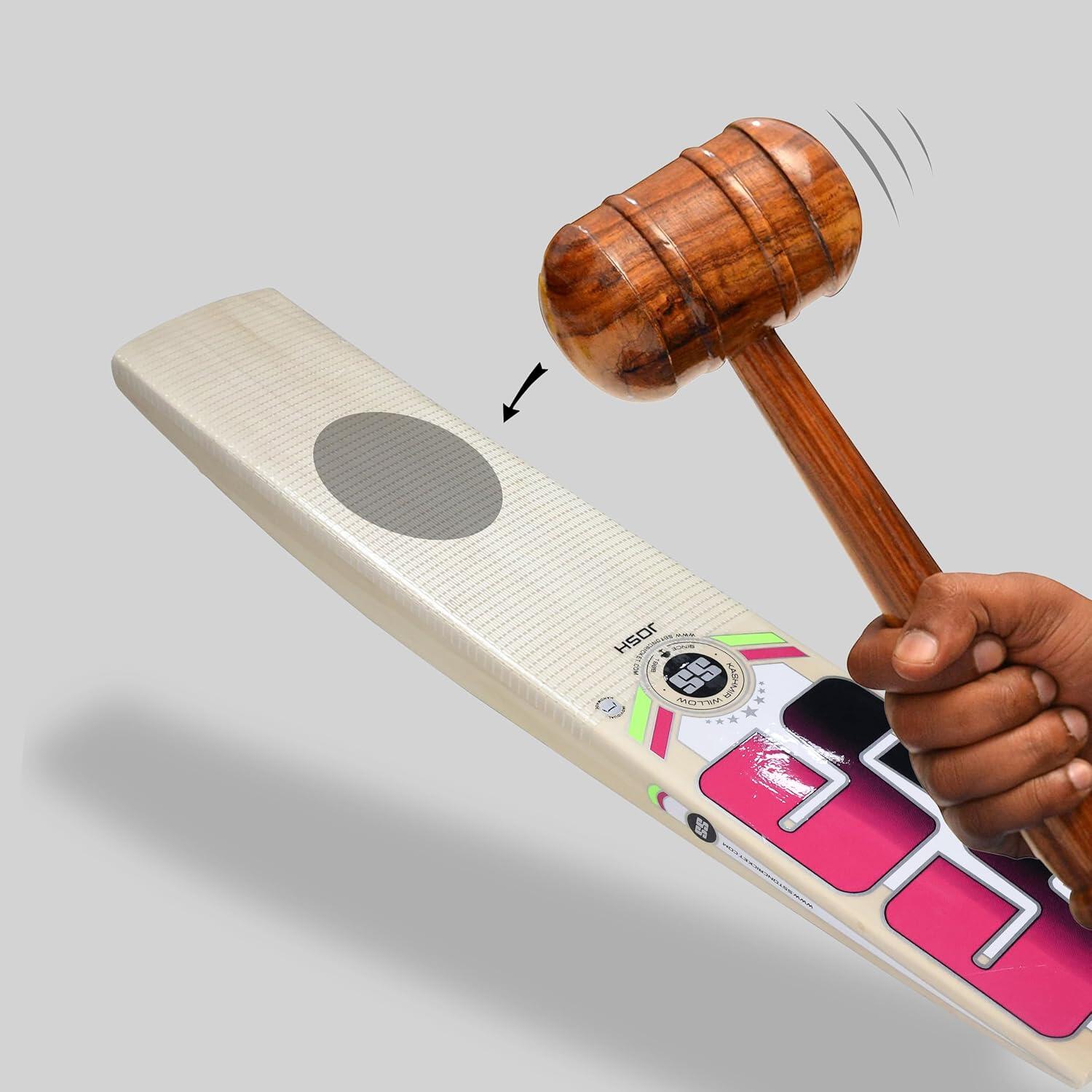 SS Josh Cricket bat | Kaschmir-Weide | Leicht & für Fortgeschrittene 4/5