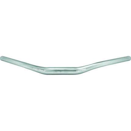 Ergotec Trekking E-Bike Riser Lenker 31,8 mm Silber