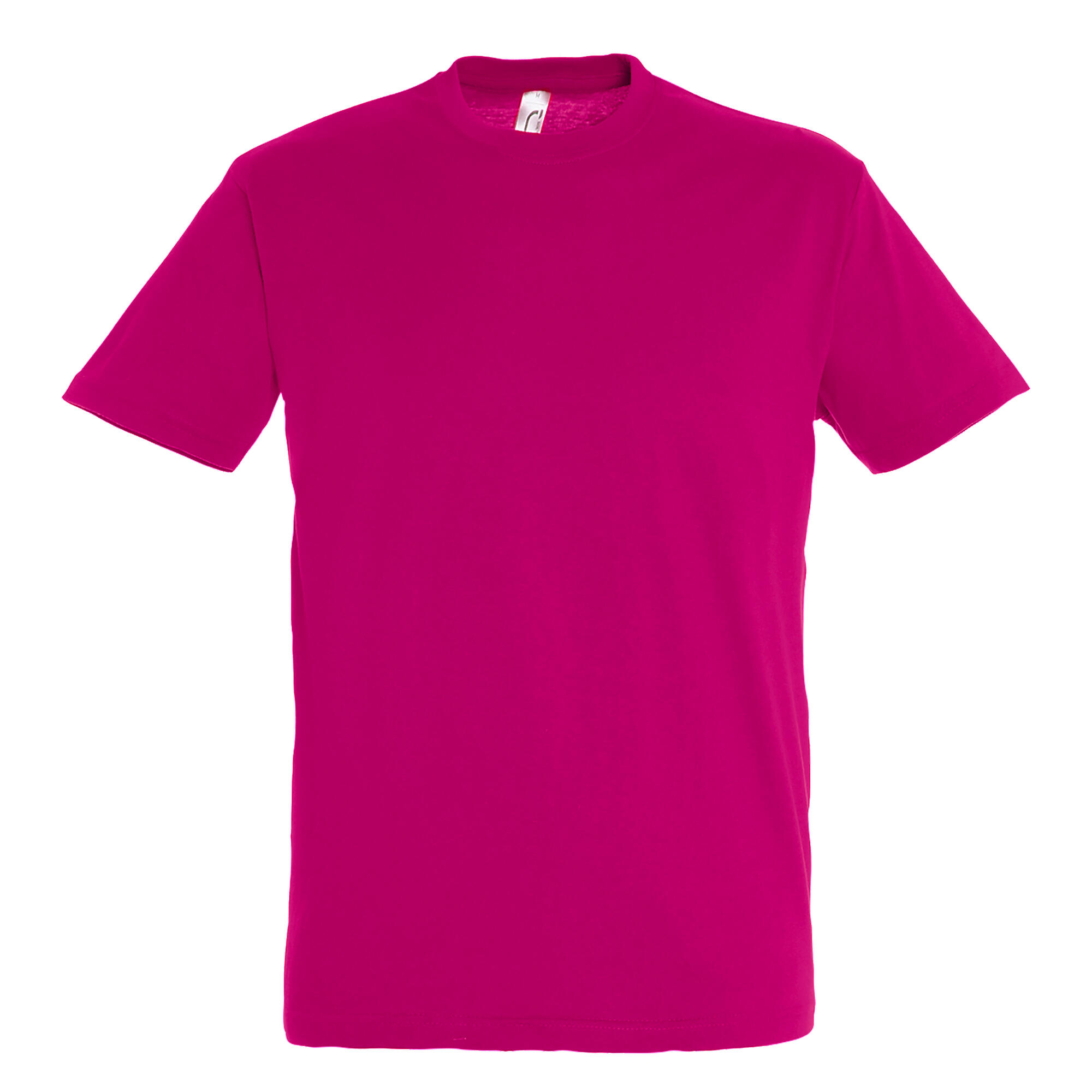 SOLS Mens Regent Short Sleeve T-Shirt